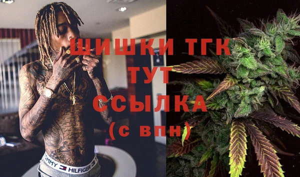 стаф Абаза